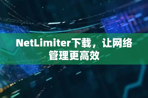 NetLimiter下载,让网络管理更高效 NetLimiter下载,让网络管理更高效