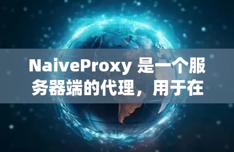 NaiveProxy 是一个服务器端的代理，用于在服务器端代理浏览器请求，以提升网站的访问速度和可靠性。以下是使用 NaiveProxy 的指南
