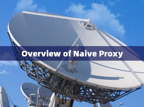 Overview of Naive Proxy Overview of Naive Proxy