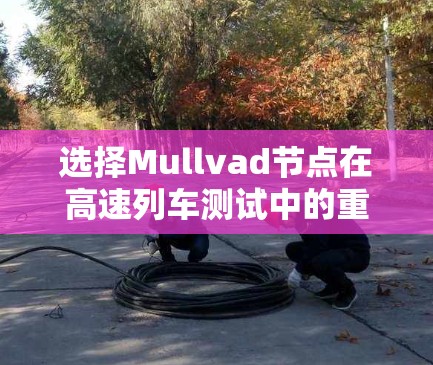 选择Mullvad节点在高速列车测试中的重要性体现在其对列车稳定性和能耗的影响。以下是对这一选择问题的详细总结和建议 选择Mullvad节点在高速列车测试中的重要性体现在其对列车稳定性和能耗的影响。以下是对这一选择问题的详细总结和建议
