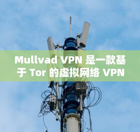 Mullvad VPN 是一款基于 Tor 的虚拟网络 VPN，旨在提供安全、匿名和高效的网络连接。如果你对 VPN 的体验感兴趣，以下是一些 Mullvad VPN 的真实体验分享