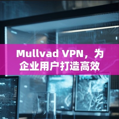 Mullvad VPN,为企业用户打造高效安全的VPN解决方案 Mullvad VPN,为企业用户打造高效安全的VPN解决方案