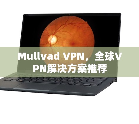 Mullvad VPN,全球VPN解决方案推荐 Mullvad VPN,全球VPN解决方案推荐