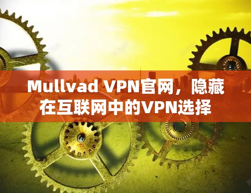 Mullvad VPN官网，隐藏在互联网中的VPN选择