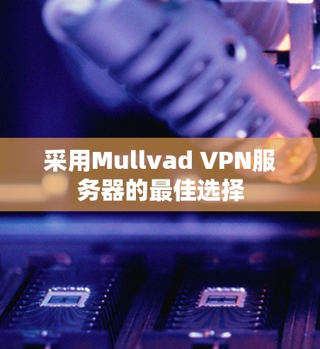 采用Mullvad VPN服务器的最佳选择 采用Mullvad VPN服务器的最佳选择