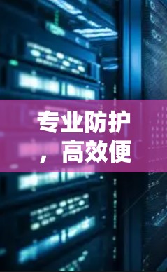 专业防护，高效便捷，为您打造安全可靠的VPN服务
