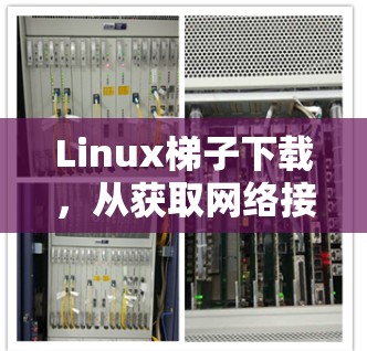 Linux梯子下载，从获取网络接口到连接到服务器的完整过程