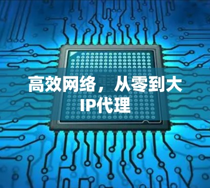 高效网络，从零到大IP代理