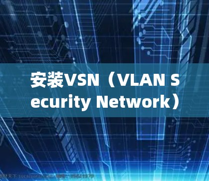 安装VSN（VLAN Security Network）VPN客户端需要一定的步骤和安全考虑。以下是一步步的指南