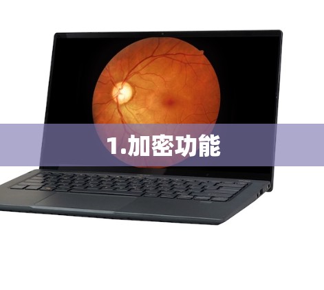 1.加密功能 1.加密功能